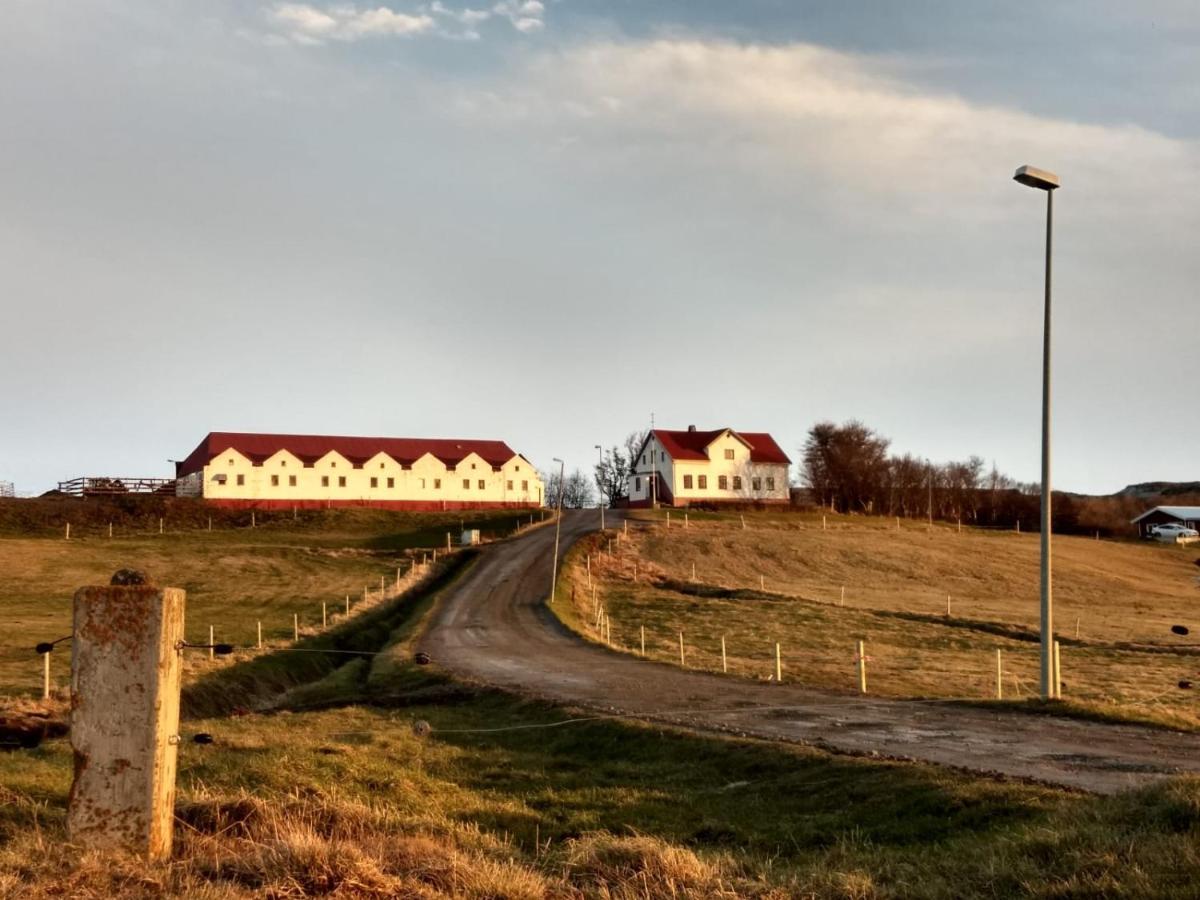 Helluland Guesthouse Saudarkrokur Екстериор снимка
