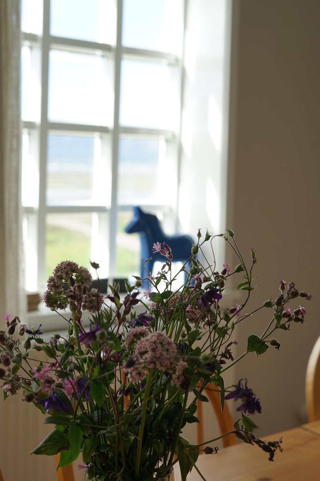 Helluland Guesthouse Saudarkrokur Екстериор снимка