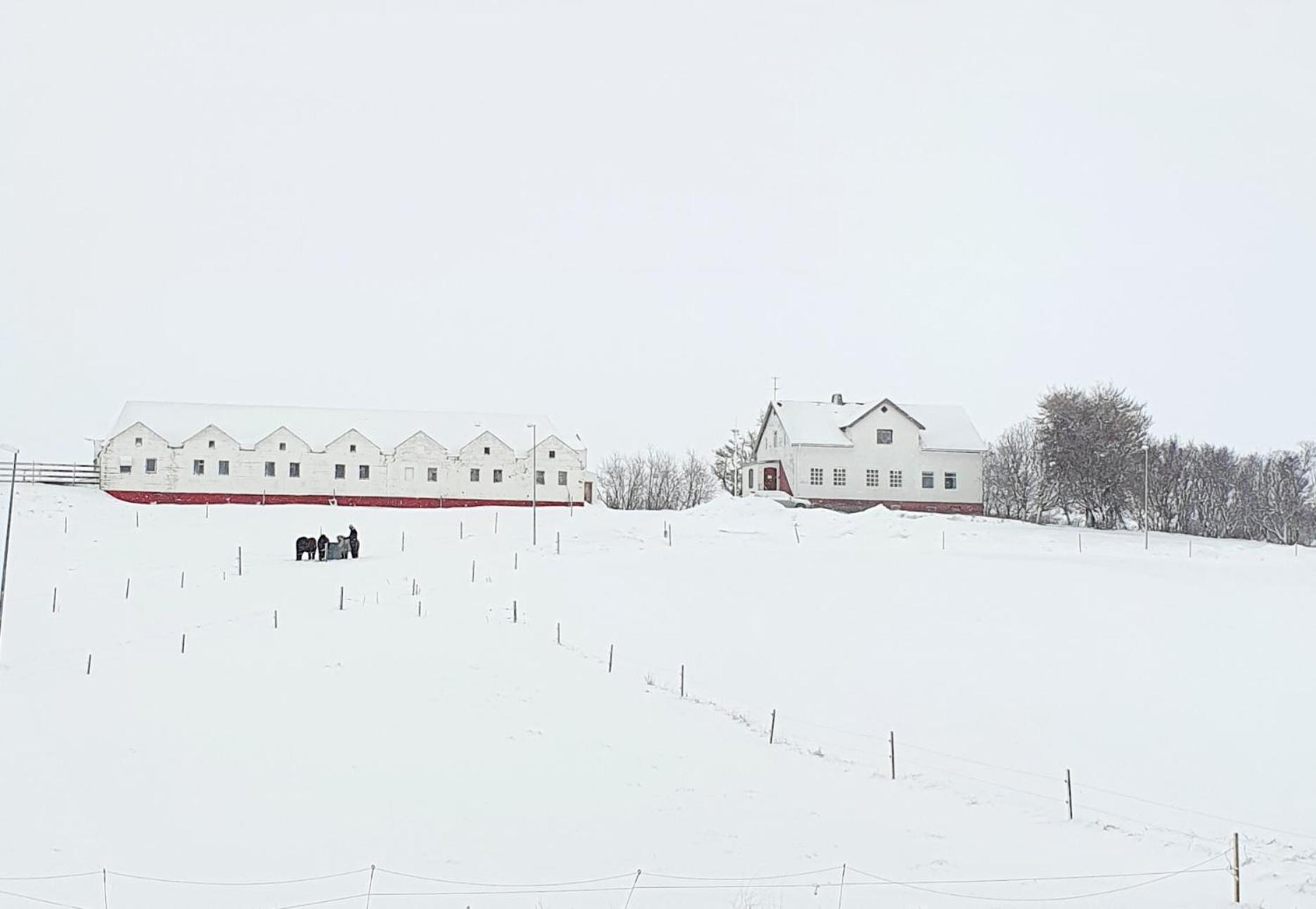 Helluland Guesthouse Saudarkrokur Екстериор снимка